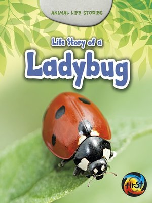 cover image of Life Story of a Ladybug
